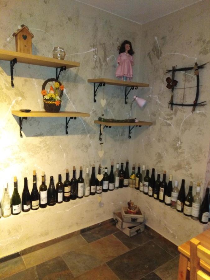 Ubytovani U Janca Lednice Extérieur photo